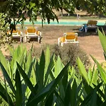 Апартаменты Au Paradis, Parc Animalier Olmeta-di-Tuda