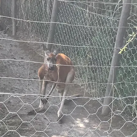Au Paradis, Parc Animalier *