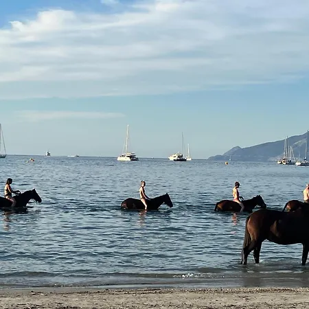 Au Paradis, Parc Animalier Olmeta-di-Tuda
