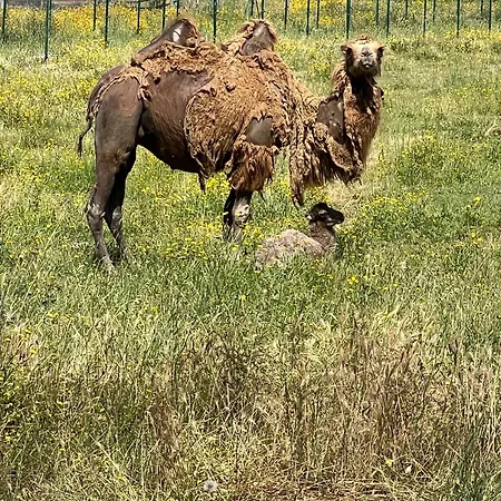 Apartmán Au Paradis, Parc Animalier *