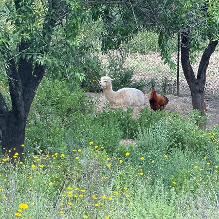 Au Paradis, Parc Animalier *