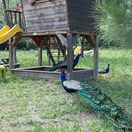 Apartment Au Paradis, Parc Animalier