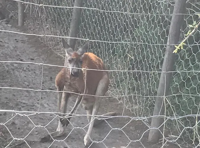Au Paradis, Parc Animalier *