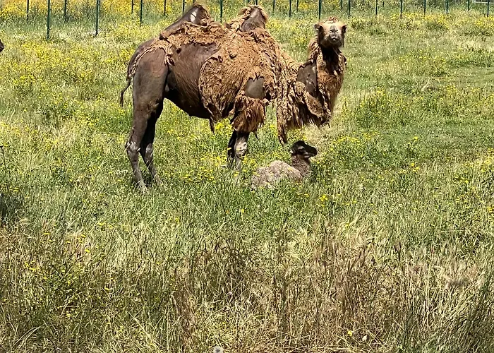 Appartement Au Paradis, Parc Animalier *