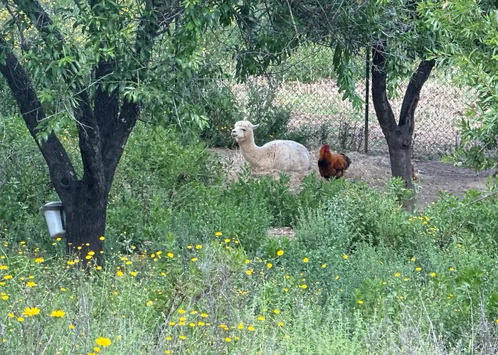 Au Paradis, Parc Animalier *