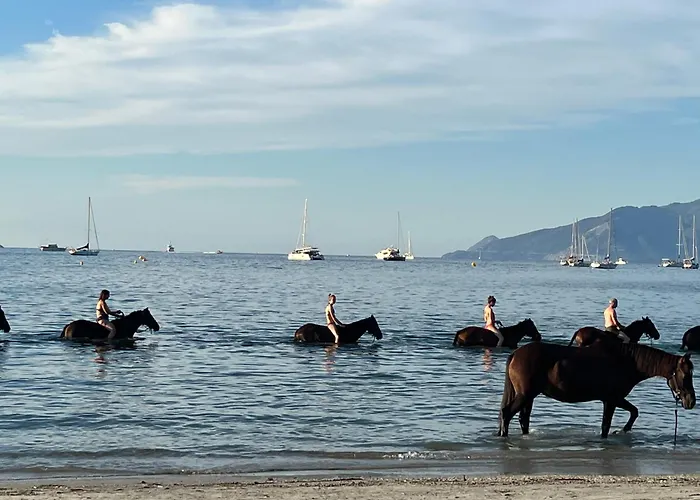 Au Paradis, Parc Animalier Olmeta-di-Tuda