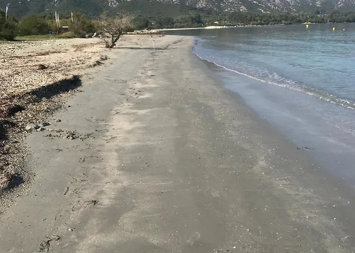 Au Paradis, Parc Animalier * Olmeta-di-Tuda