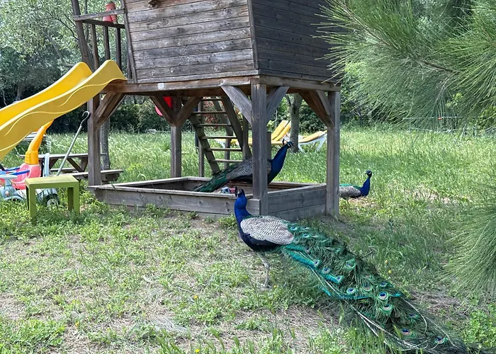 Apartment Au Paradis, Parc Animalier